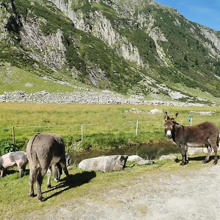 Apartmán Zeit.glueck *