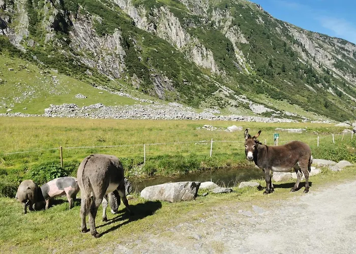 公寓 Zeit.glueck *