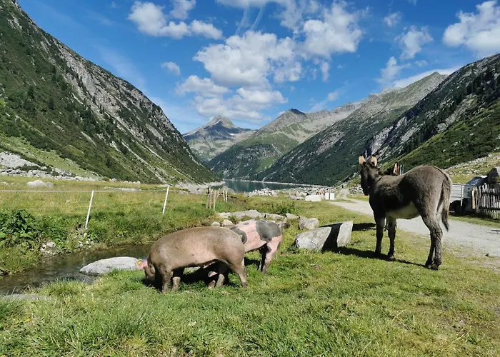 Apartman Zeit.glueck *